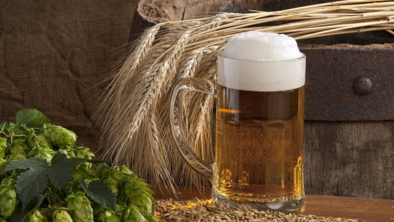 Brauereibesichtigung der Licher Privatbrauerei Ihring-Melchior GmbH